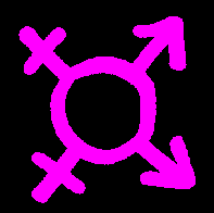  Bi logo badge design 