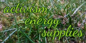 The words "activism energy supplies" appear in a vivid green against a background photo of blades of grass.