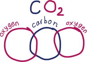 Sketch of a CO2 molecule. Oxygen links to carbon, which links to another oxygen.
